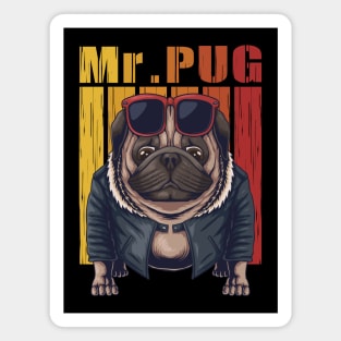 Mr. pug vintage Magnet